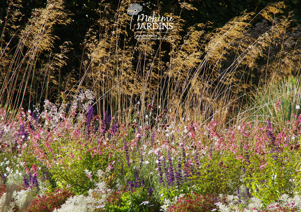 Le Festival International des Jardins de Chaumont sur Loire