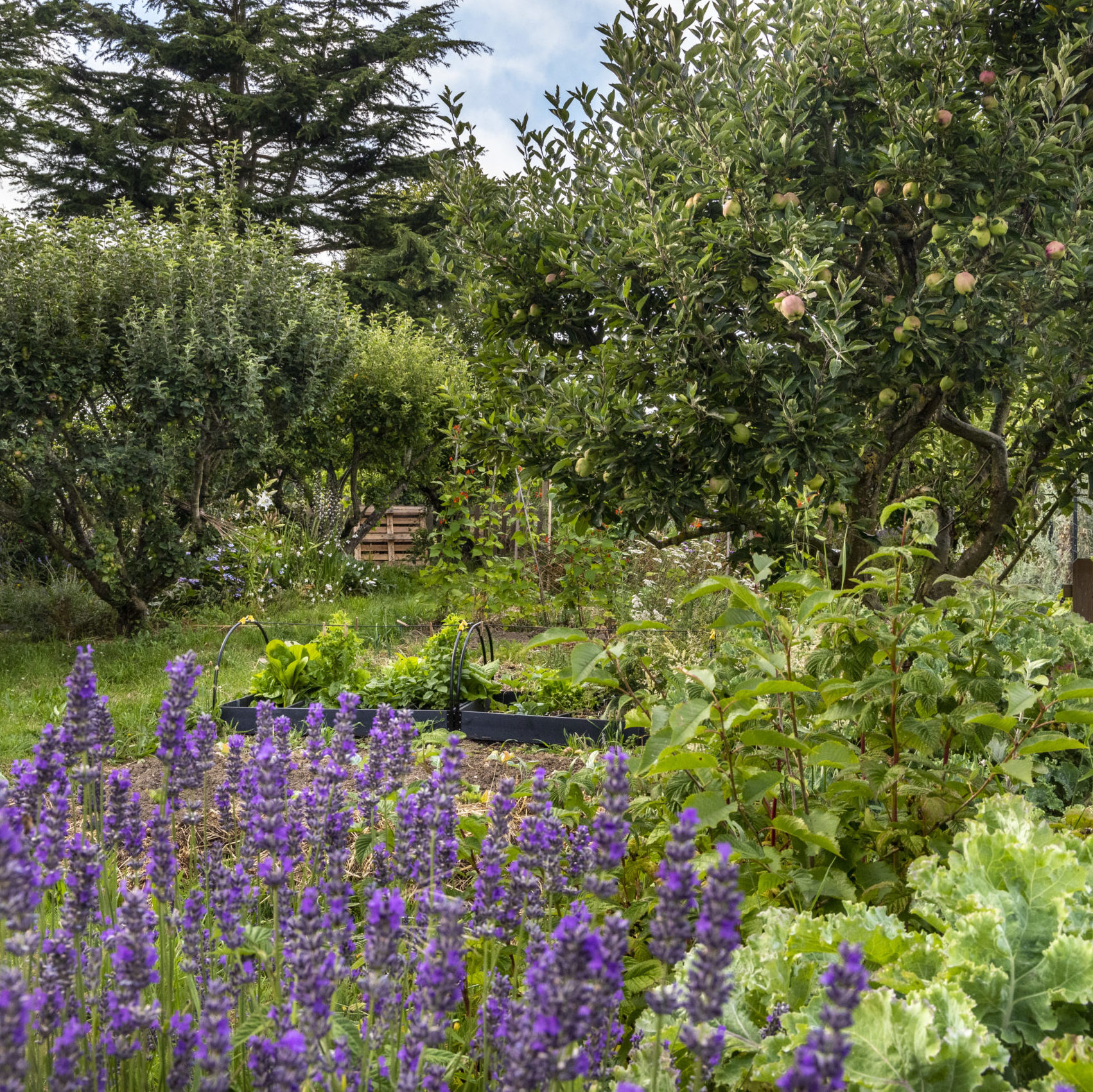 MohemeJardin-jardin-naturel3-sq
