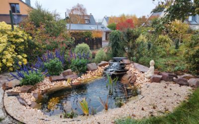 Retour à la nature d’un jardin en ville