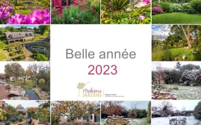 Belle année 2023