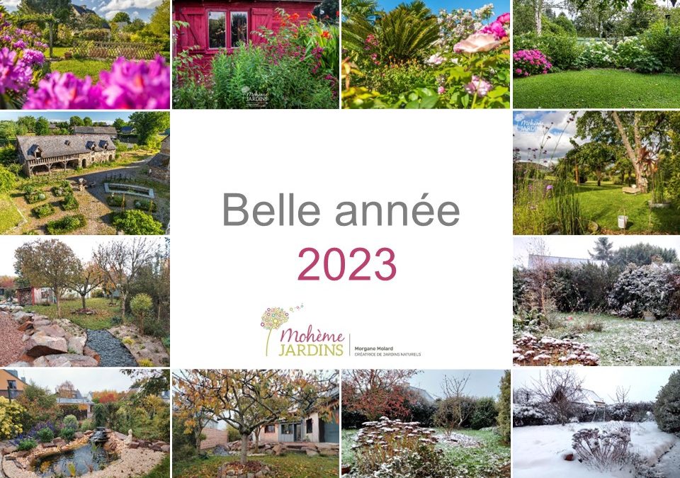 Belle année 2023