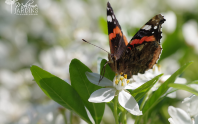 Un jardin blanc et convivial