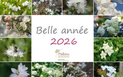 Belle année 2026